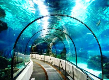 Аквариум Барселоны (L'aquarium de Barcelona) (фото)