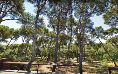 Парк Боск в Фигерасе (Parc Bosc Municipal de Figueres) (фото)