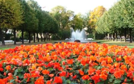 Таврический сад в Санкт-Петербурге (фото)
