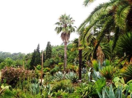 Ботанический сад Пинья де Роса в Бланесе
