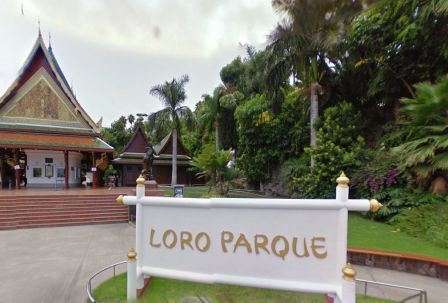 Лоро Парк на острове Тенерифе