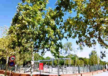 Парк Пинарет в Камбрильсе (Parque del Pinaret) (фото)