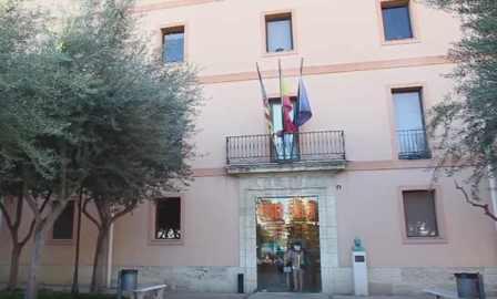 Музей Лас Фальяс в Валенсии (Museo Las Fallas) (фото)