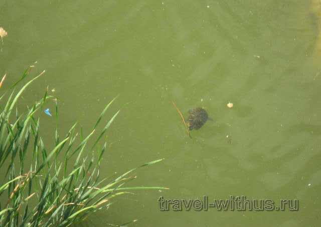 Парк Кабесера в Валенсии (Parque de Cabecera) (фото)
